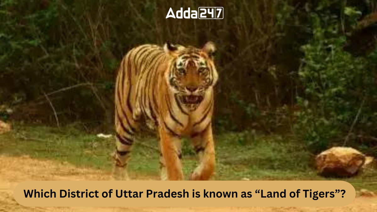 Which District of Uttar Pradesh is known as Land of Tigers